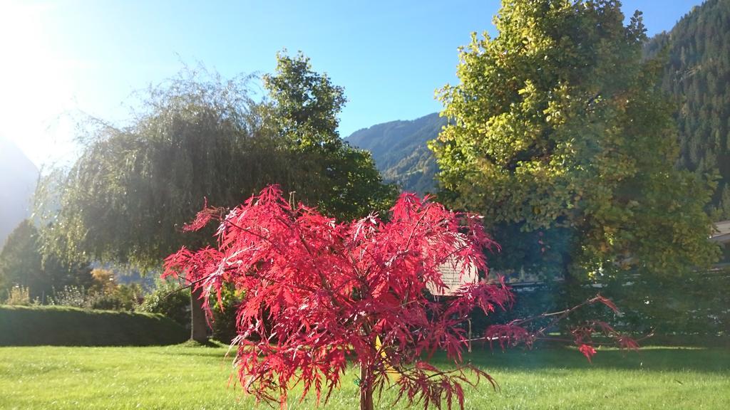 Villa Amsel Mayrhofen Eksteriør billede